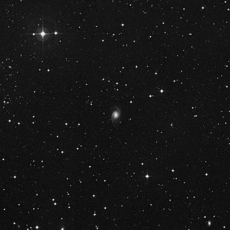 Image of IC 382 - Intermediate Spiral Galaxy in Eridanus star