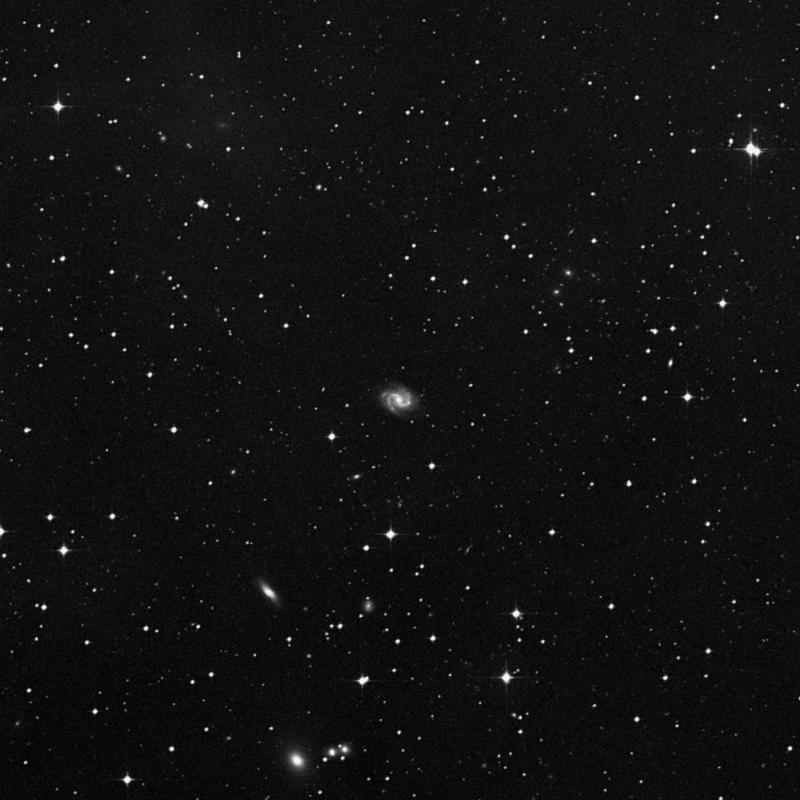 Image of IC 387 - Intermediate Spiral Galaxy in Eridanus star