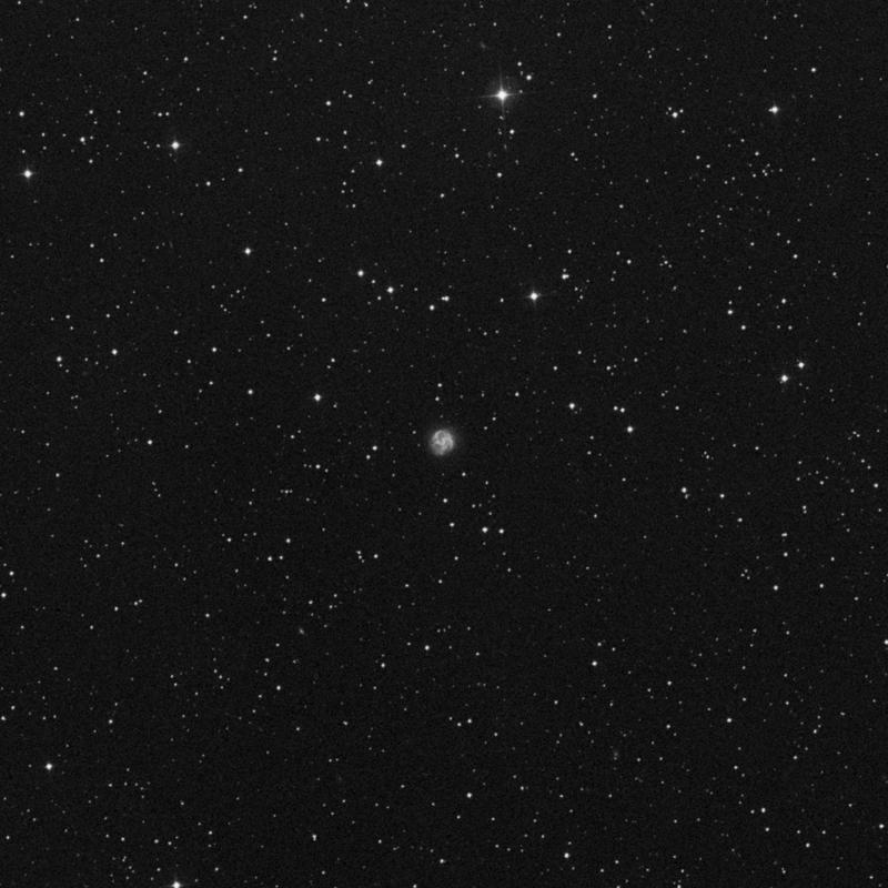 Image of IC 391 - Spiral Galaxy in Camelopardalis star