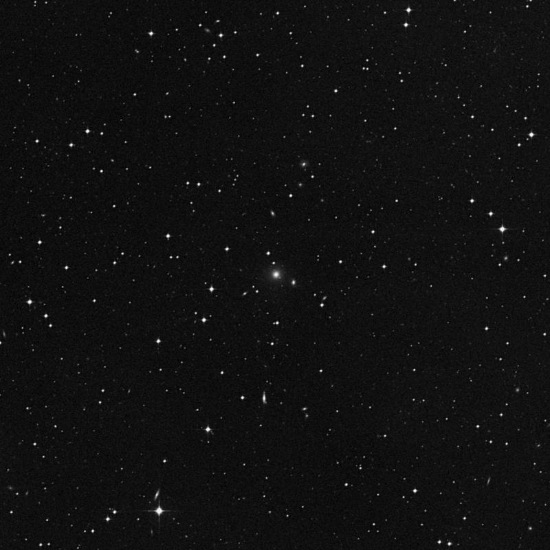 Image of IC 393 - Elliptical Galaxy in Eridanus star