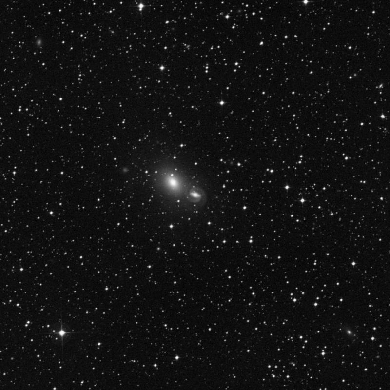 Image of IC 3290 - Lenticular Galaxy in Centaurus star