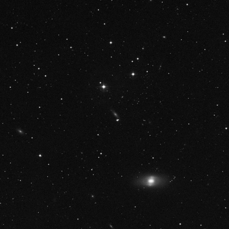 Image of IC 3305 - Elliptical Galaxy in Virgo star