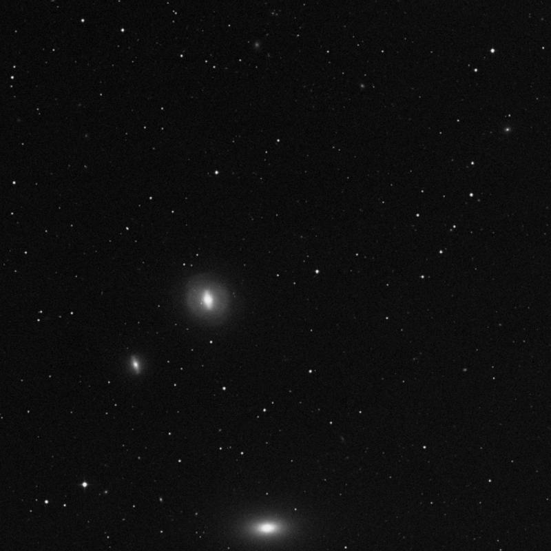 Image of IC 3423 - Star in Coma Berenices star