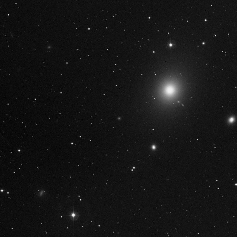 Image of IC 3443 - Elliptical Galaxy in Virgo star