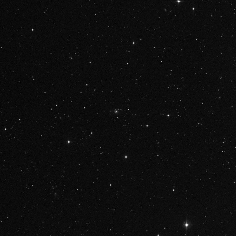 Image of IC 3699 - Double Star in Coma Berenices star