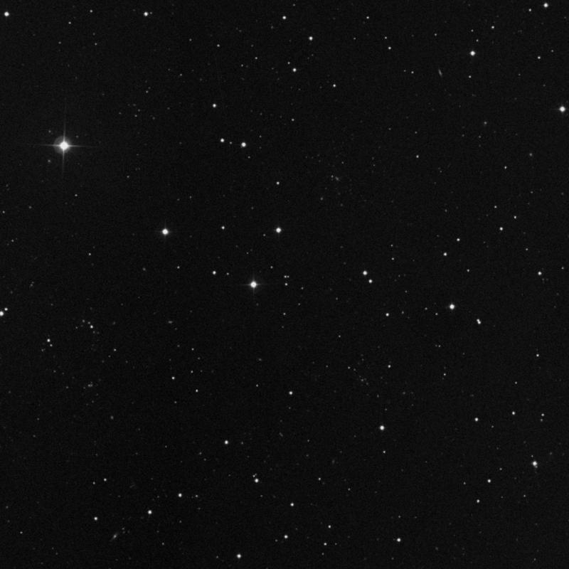 Image of IC 3802 - Star in Canes Venatici star