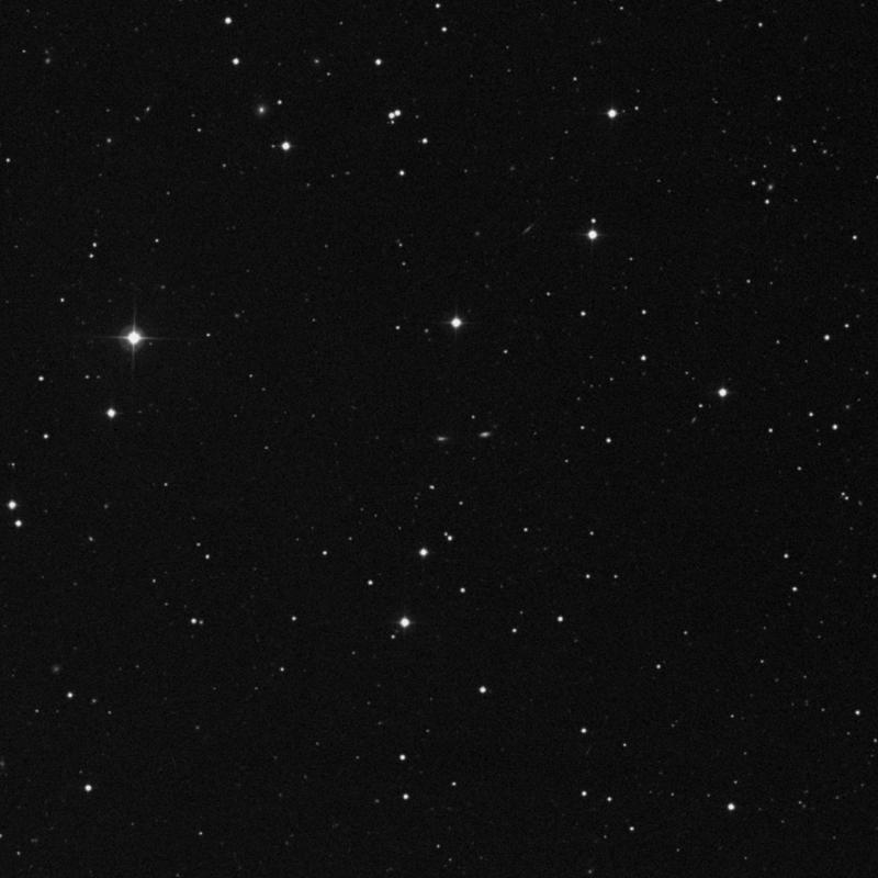 Image of IC 3836 - Galaxy in Canes Venatici star