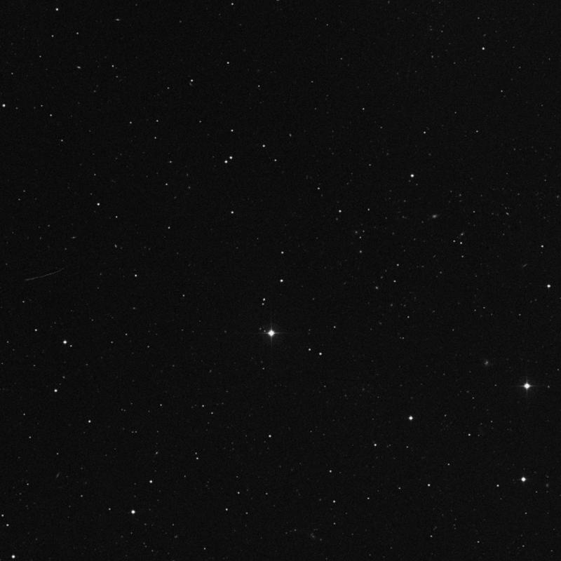 Image of IC 3902 - Star in Canes Venatici star