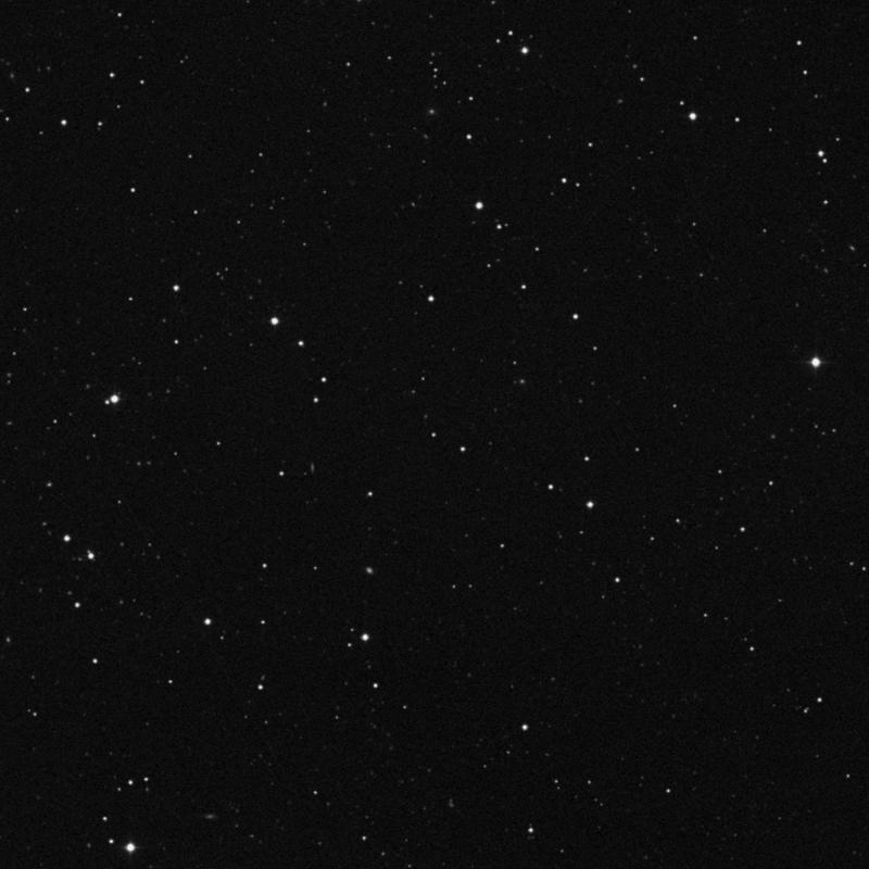 Image of IC 3906 - Star in Canes Venatici star