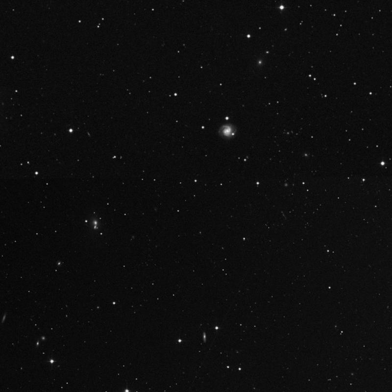 Image of IC 3981 - Star in Canes Venatici star