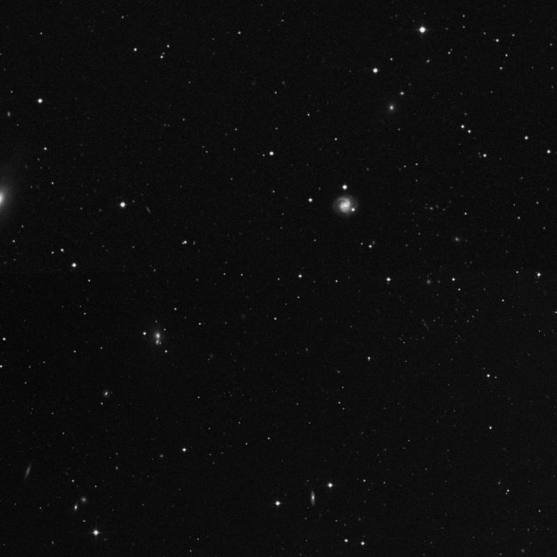 Image of IC 3988 - Star in Canes Venatici star
