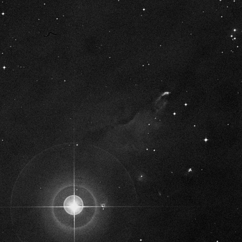Image of IC 430 - Nebula in Orion star