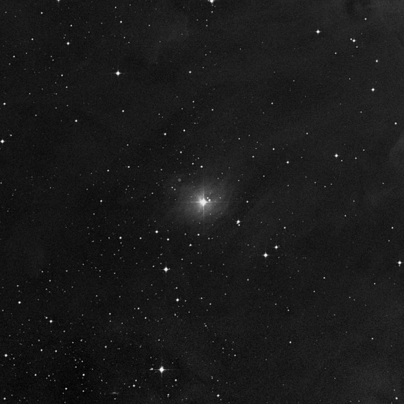 Image of IC 435 - Reflection Nebula in Orion star