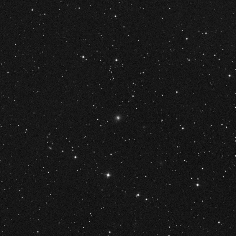 Image of IC 442 - Lenticular Galaxy in Camelopardalis star