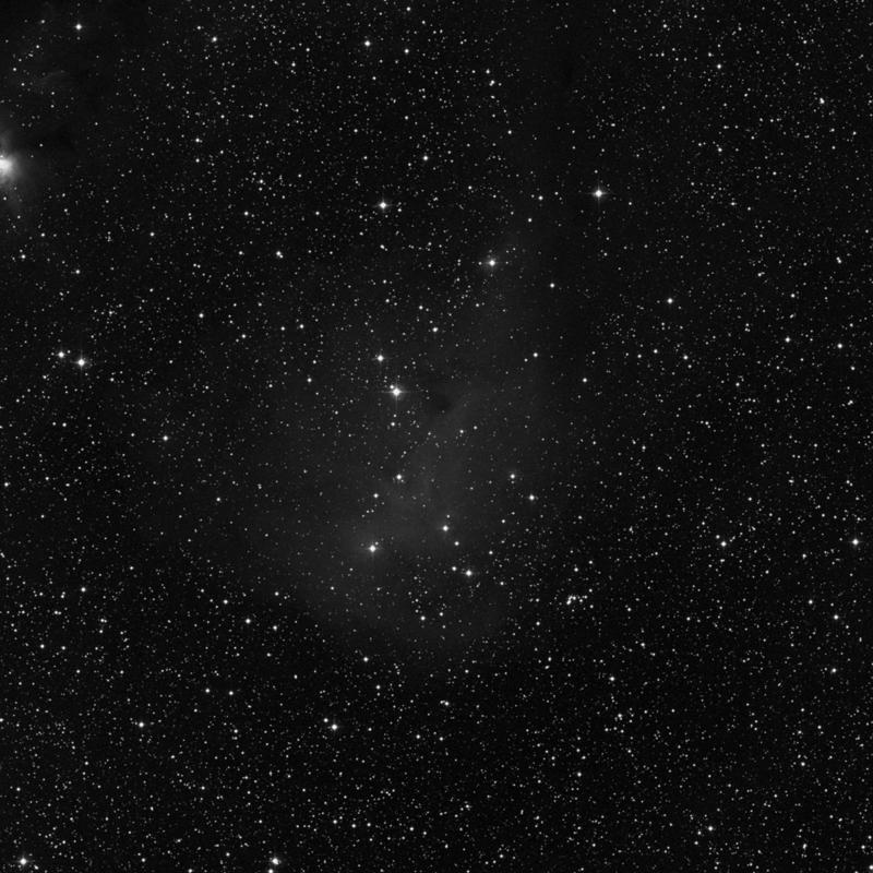 Image of IC 447 - HII Ionized region in Monoceros star
