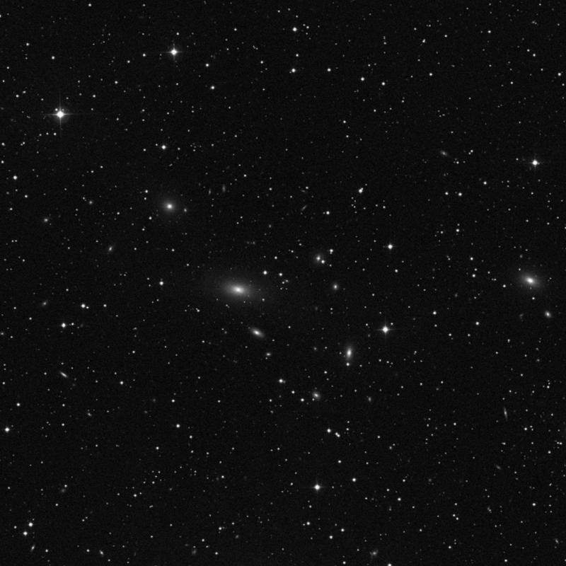Image of IC 462 - Star in Lynx star