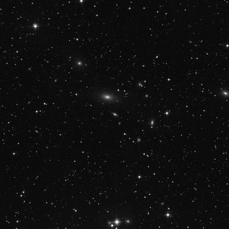 Image of IC 464 - Elliptical Galaxy in Lynx star