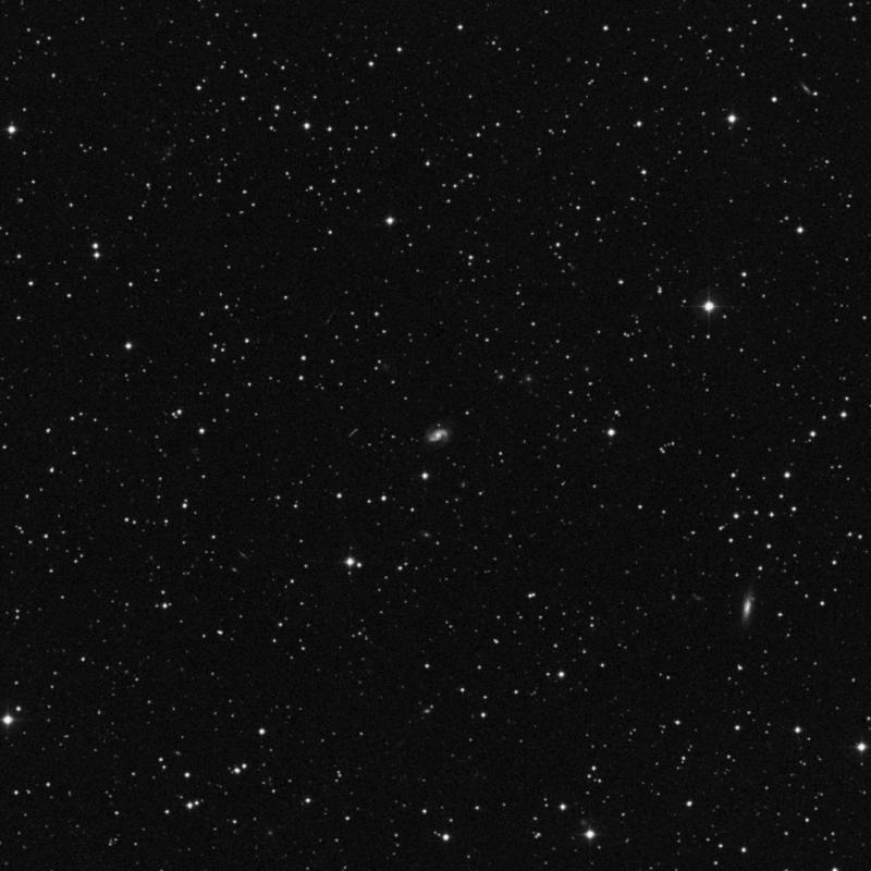 Image of IC 503 - Spiral Galaxy in Hydra star