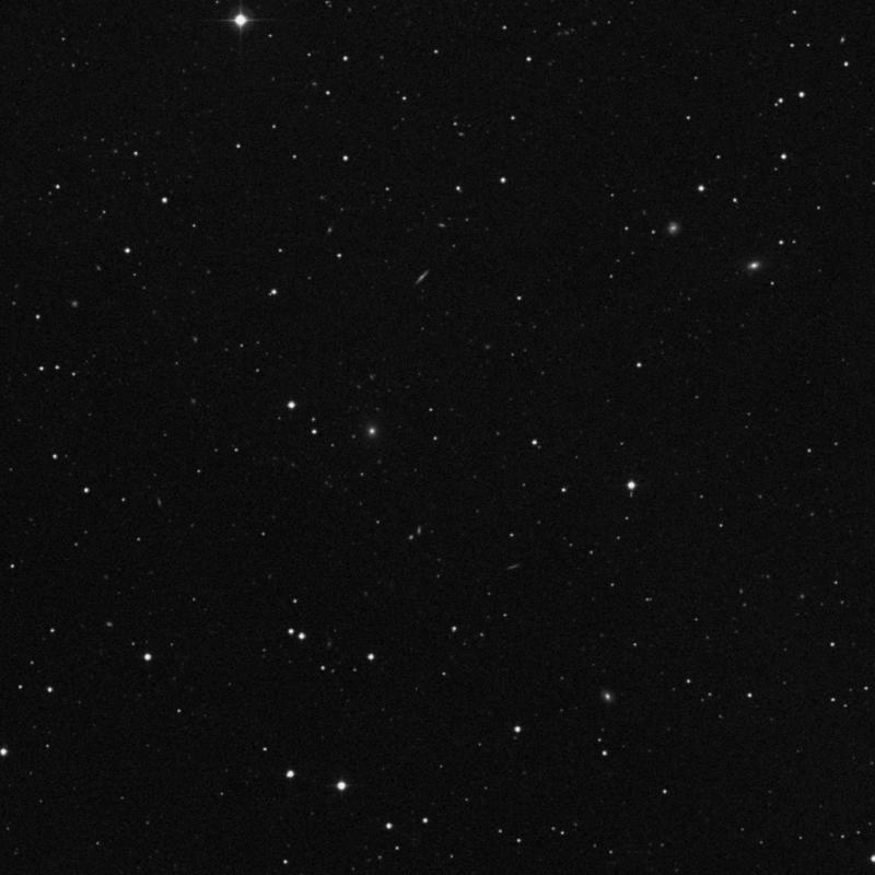 Image of IC 4142 - Star in Canes Venatici star