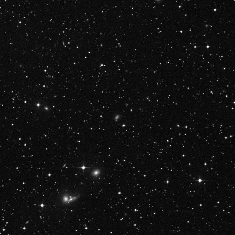 Image of IC 4251 - Barred Spiral Galaxy in Hydra star