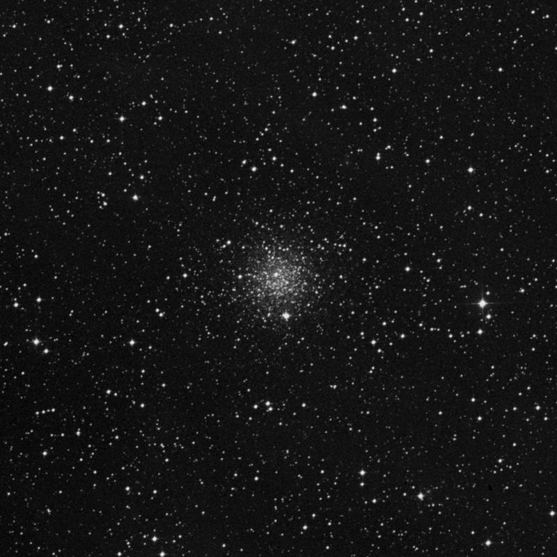 Image of IC 4499 - Globular Cluster in Apus star