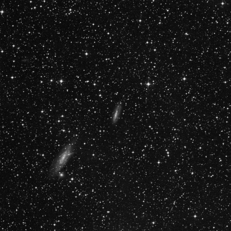 Image of IC 4720 - Galaxy in Pavo star