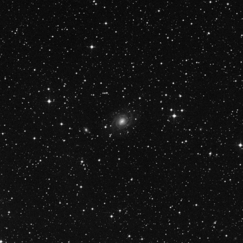 Image of IC 4901 - Intermediate Spiral Galaxy in Pavo star