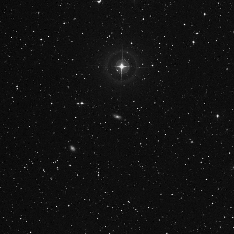 Image of IC 5038 - Galaxy in Pavo star