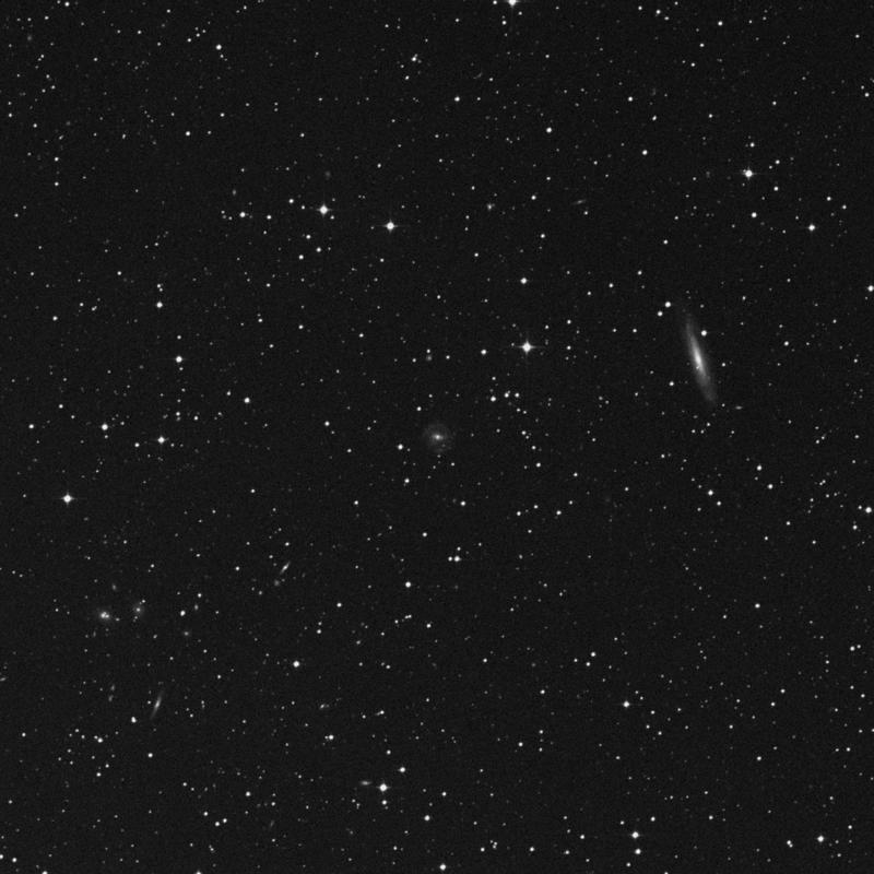 Image of IC 5073 - Galaxy in Pavo star