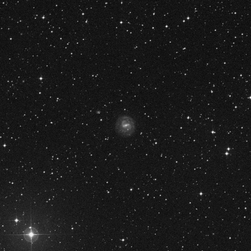 Image of IC 5092 - Galaxy in Pavo star