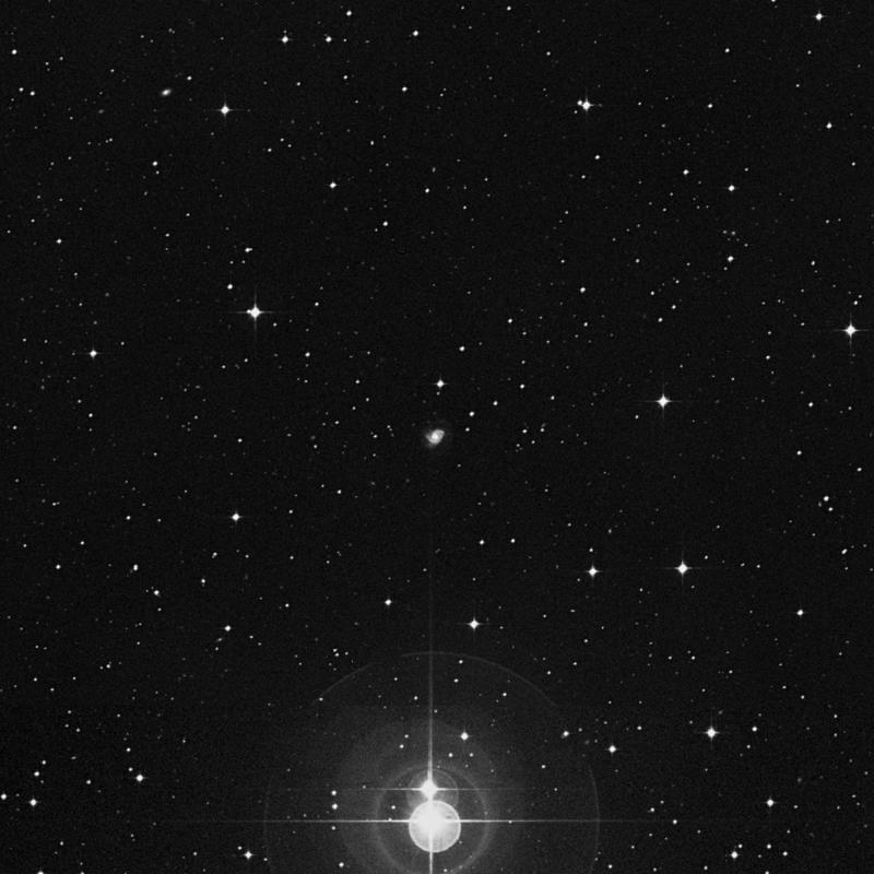 Image of IC 539 - Spiral Galaxy in Hydra star