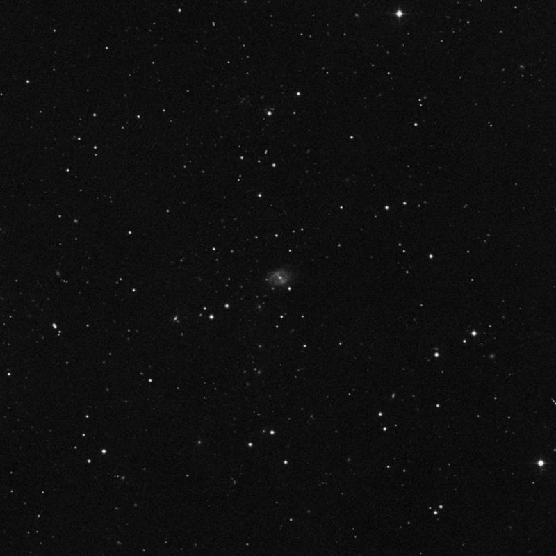 Image of IC 607 - Spiral Galaxy in Leo star