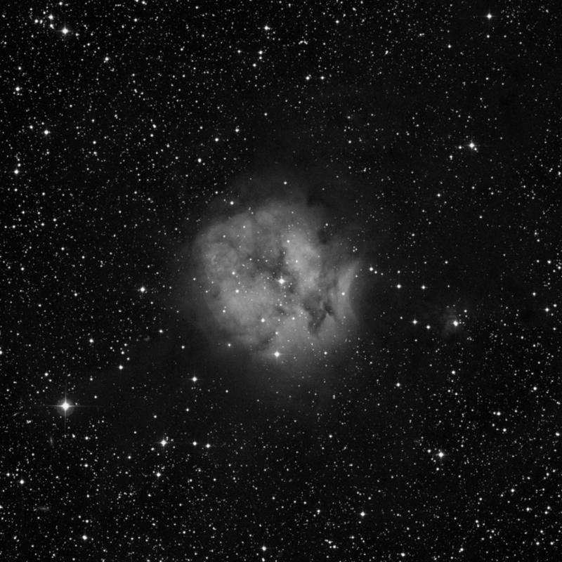Image of IC 5146 (Cocoon Nebula) - Star Cluster + Nebula in Cygnus star