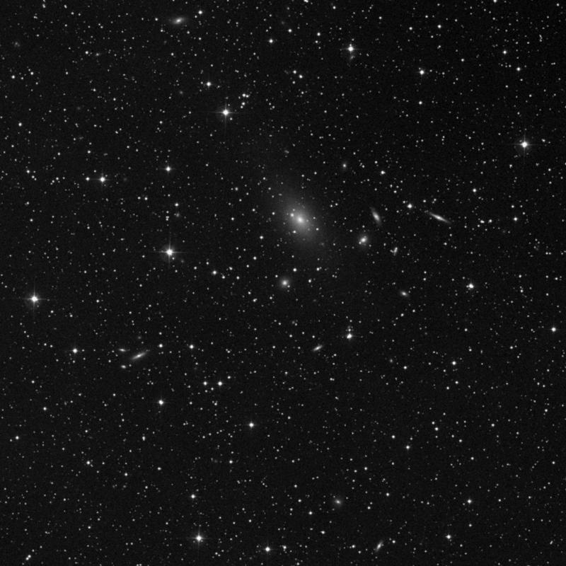Image of IC 5193 - Elliptical Galaxy in Lacerta star