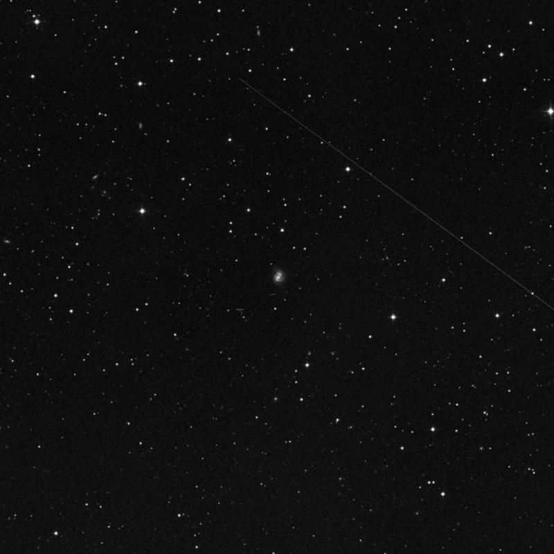 Image of IC 5241 - Galaxy in Pegasus star
