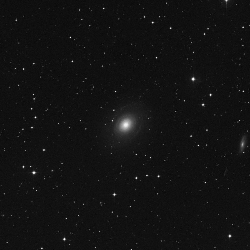Image of IC 5267 - Lenticular Galaxy in Grus star