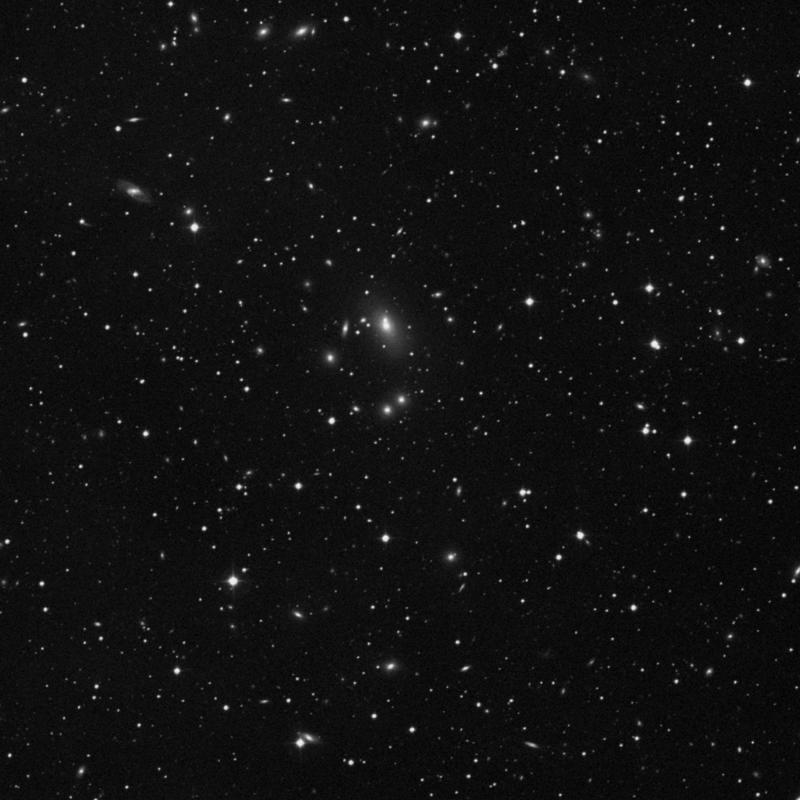 Image of IC 5341 - Elliptical Galaxy in Pegasus star