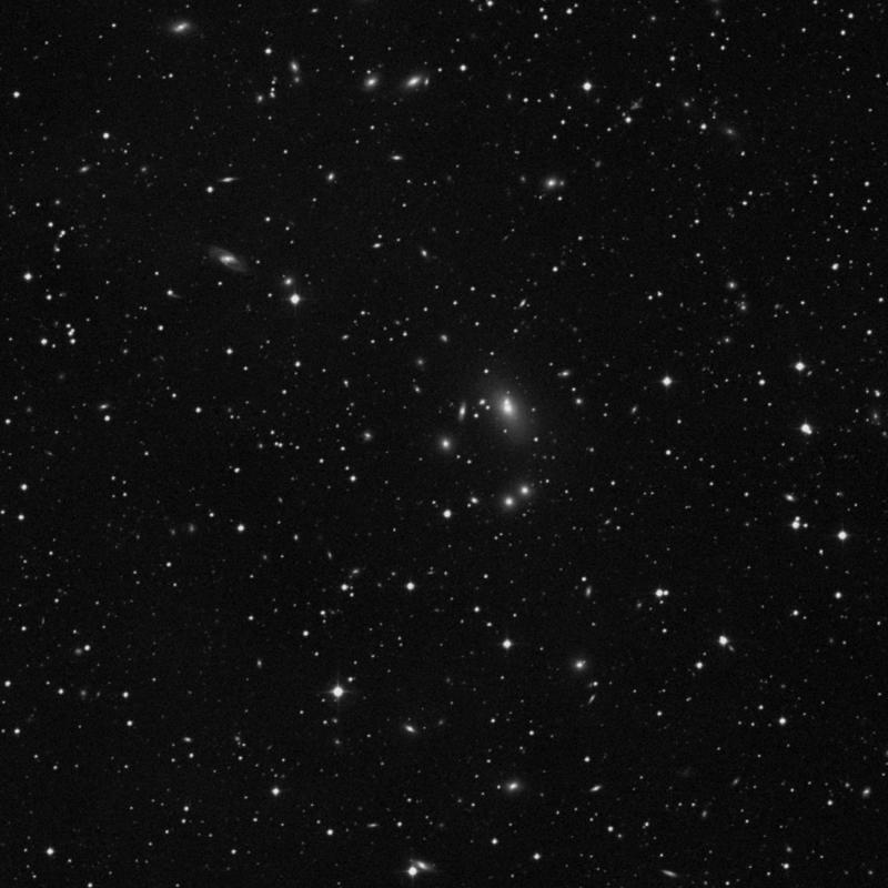 Image of IC 5342 - Elliptical Galaxy in Pegasus star