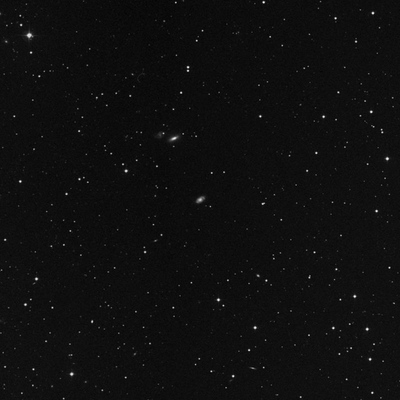 Image of NGC 41 - Spiral Galaxy in Pegasus star