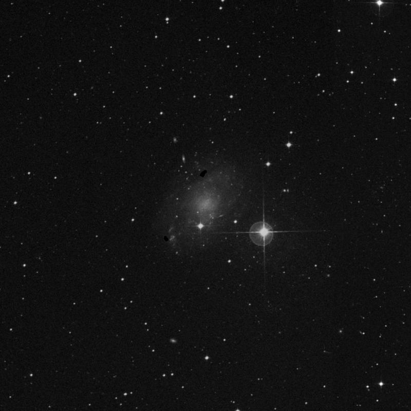 Image of NGC 45 - Intermediate Spiral Galaxy in Cetus star