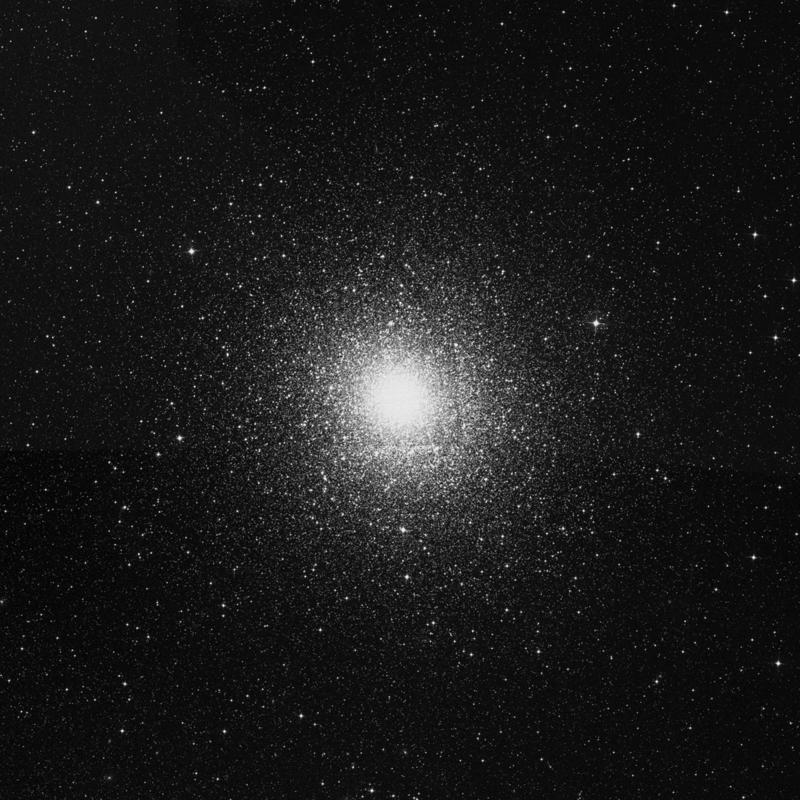 Image of NGC 104 (47 Tucanae Cluster) - Globular Cluster in Tucana star