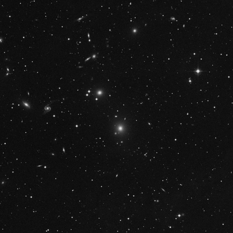 Image of NGC 81 - Galaxy in Andromeda star