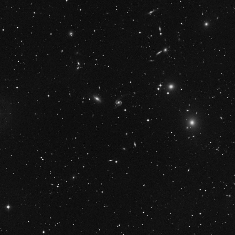 Image of NGC 91 - Star in Andromeda star