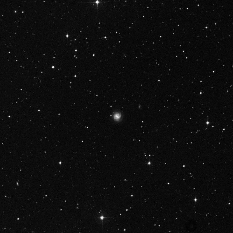 Image of NGC 98 - Barred Spiral Galaxy in Phoenix star