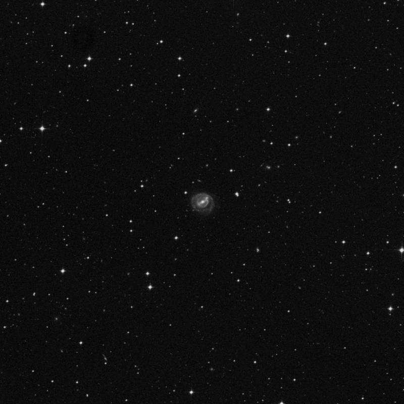 Image of NGC 238 - Barred Spiral Galaxy in Phoenix star