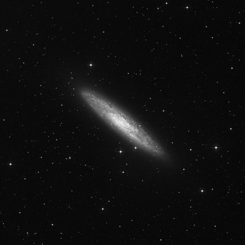 Image of NGC 253 (Sculptor Filament) - Intermediate Spiral Galaxy in Sculptor star