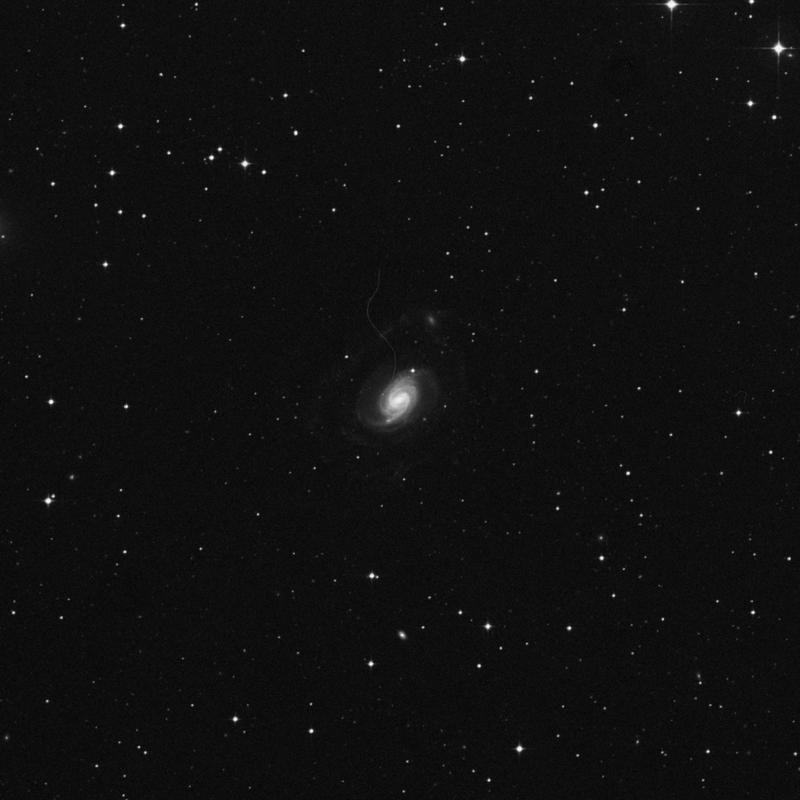 Image of NGC 289 - Barred Spiral Galaxy in Sculptor star