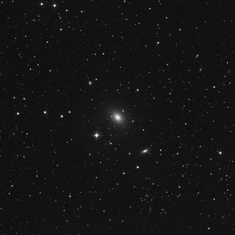 Image of NGC 315 - Elliptical Galaxy in Pisces star