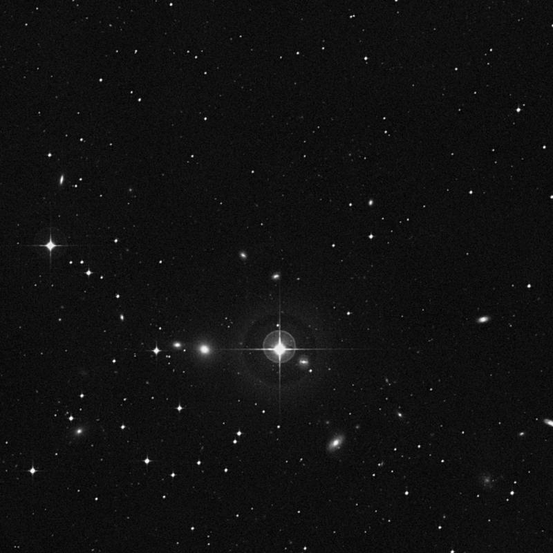 Image of NGC 347 - Galaxy in Cetus star