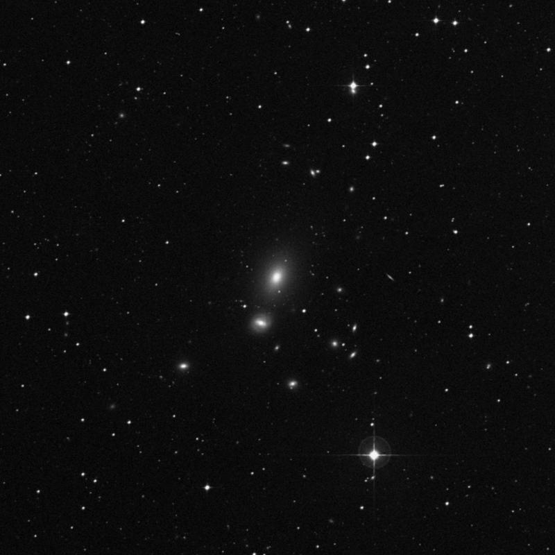 Image of NGC 439 - Elliptical/Spiral Galaxy in Sculptor star